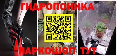 стафф Гай