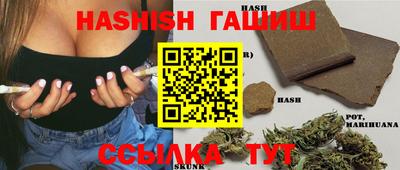 стафф Гай